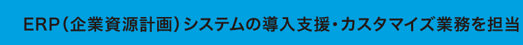 ERP（企業資源計画）システムの導入支援・カスタマイズ業務を担当